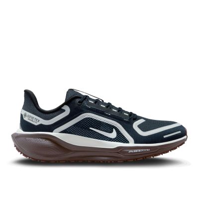 Nike Pegasus 41 GORE-TEX dames