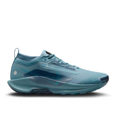 Nike Pegasus Trail 5 GORE-TEX heren